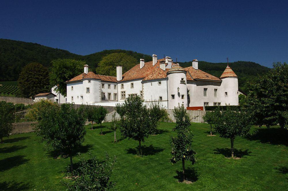Chateau Le Rosey Hotel นีย็อง ภายนอก รูปภาพ