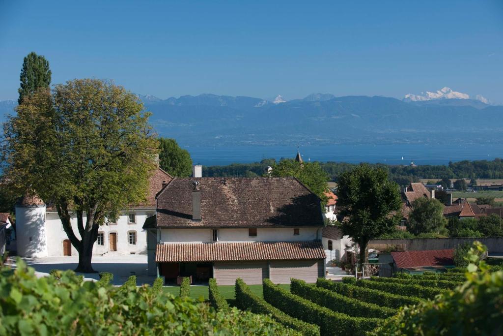 Chateau Le Rosey Hotel นีย็อง ภายนอก รูปภาพ